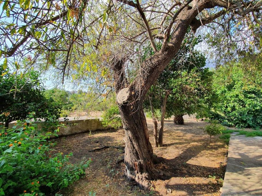 Stromboli Vacanze Ngoại thất bức ảnh