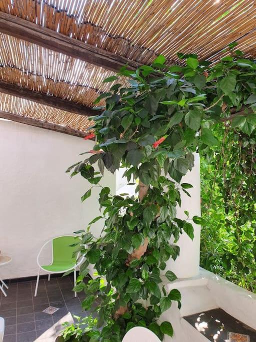 Stromboli Vacanze Ngoại thất bức ảnh